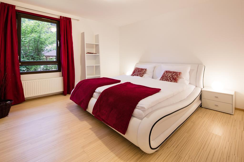 W & S Executive Apartments - Hallstatt I Εξωτερικό φωτογραφία
