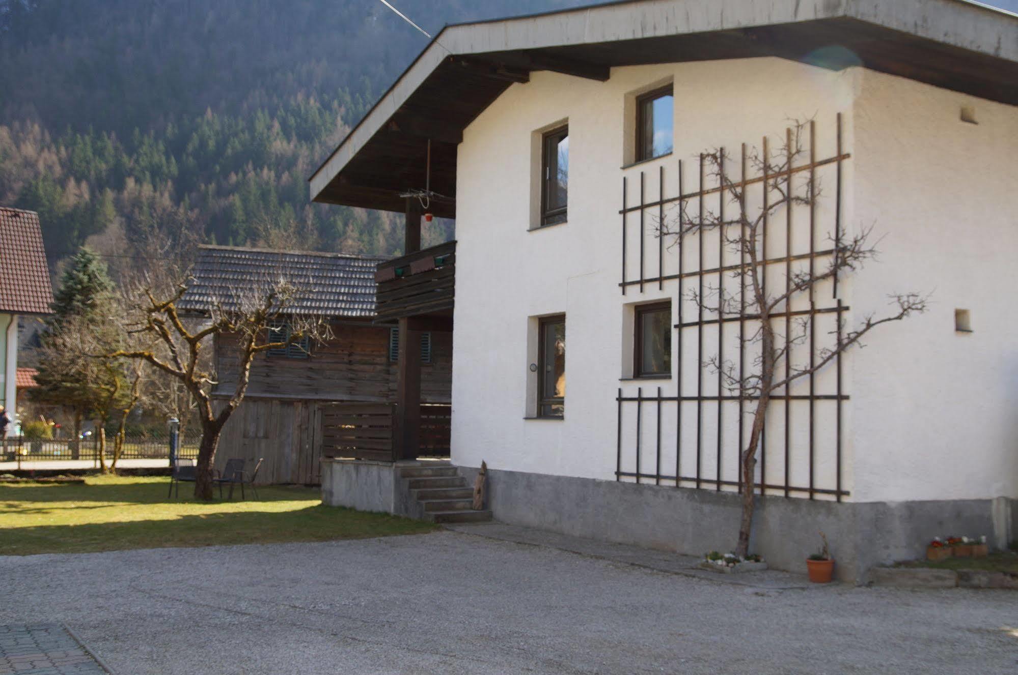 W & S Executive Apartments - Hallstatt I Εξωτερικό φωτογραφία