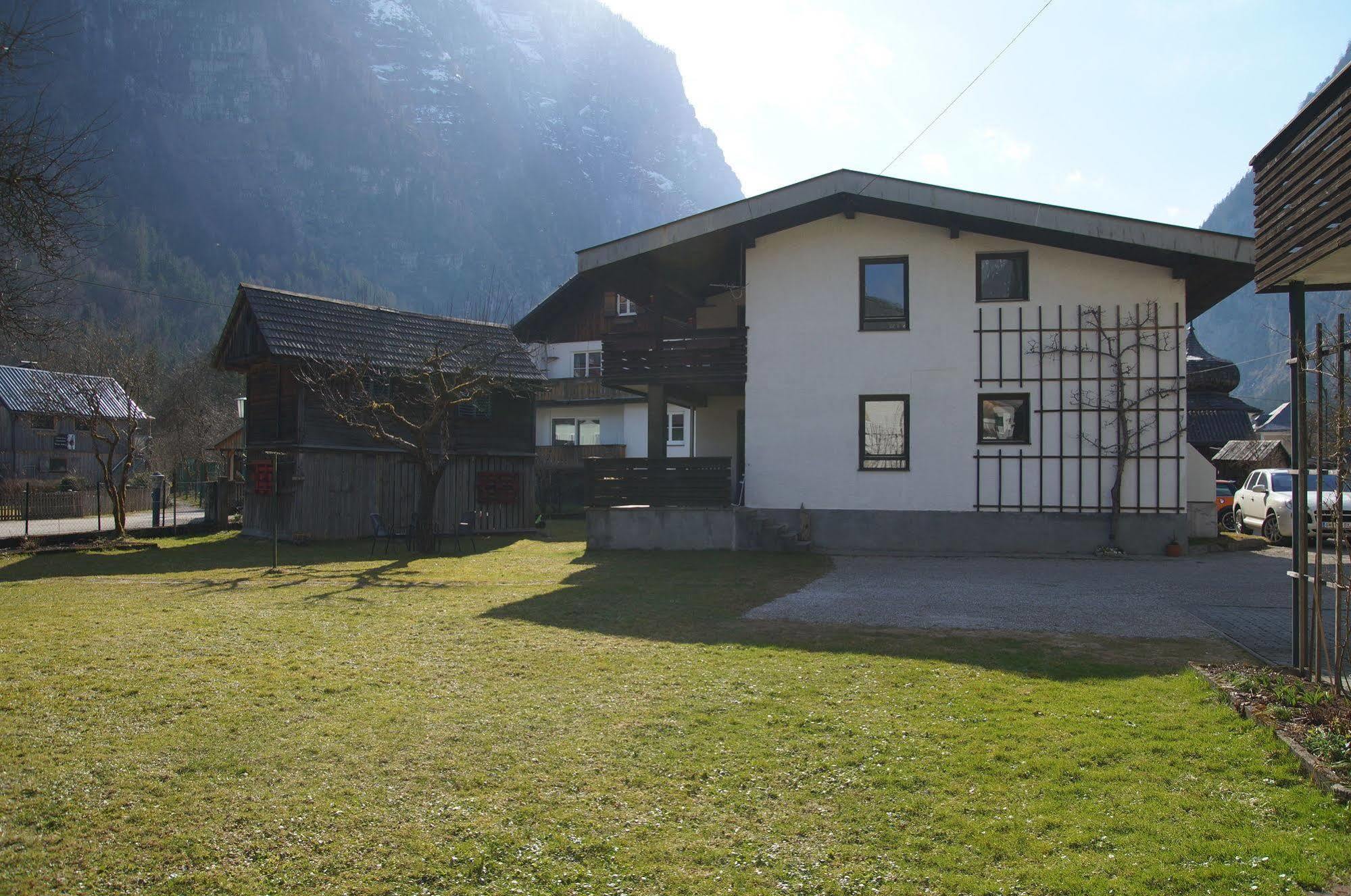 W & S Executive Apartments - Hallstatt I Εξωτερικό φωτογραφία