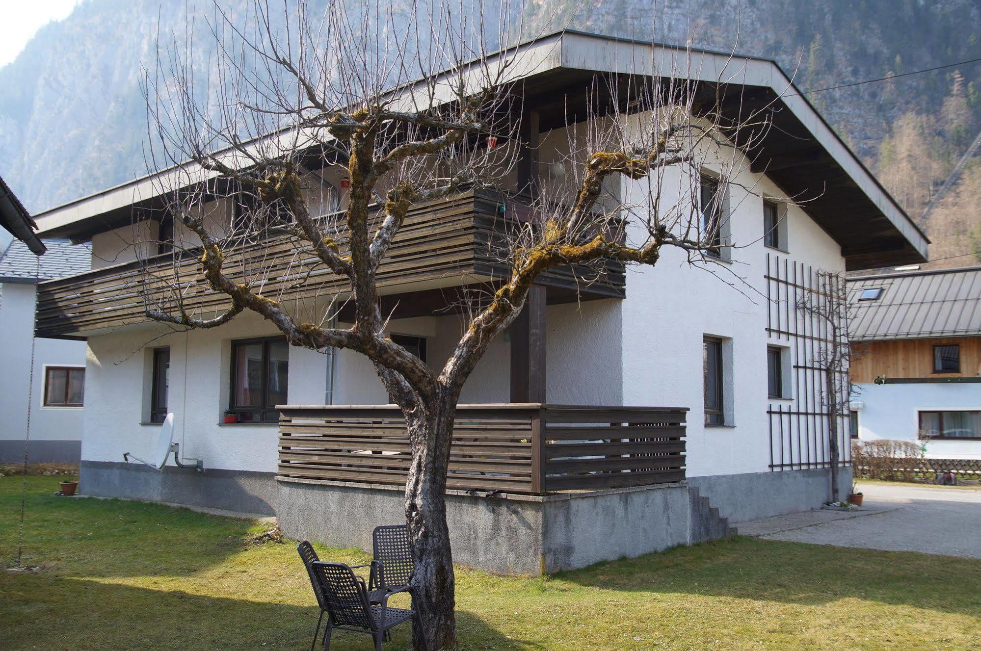 W & S Executive Apartments - Hallstatt I Εξωτερικό φωτογραφία